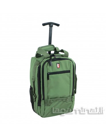 copy of Cabin size luggage...
