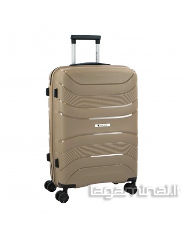 copy of Medium size luggage...