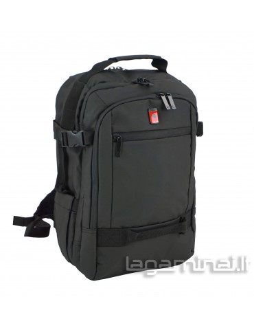 copy of Luggage/backpack...