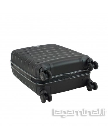 Vidutinio dydžio...